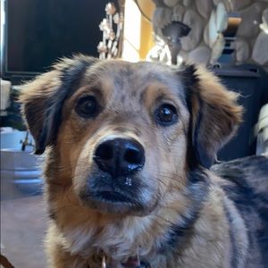 Meet your Posher, Barrett